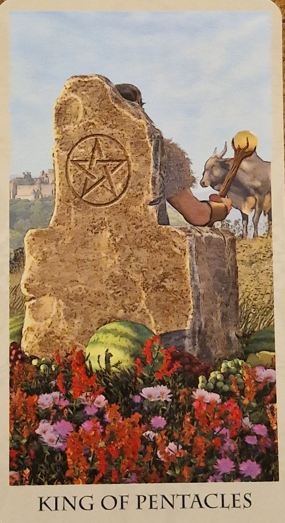 VV King Pentacles B.jpg