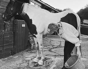 Equestrian Jewellery