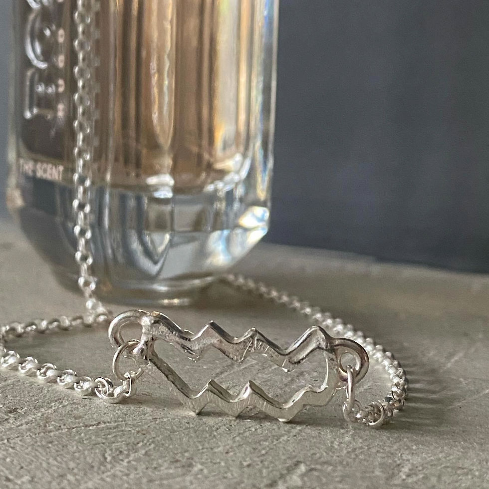 SILVER FIXED AQUARIUS NECKLACE