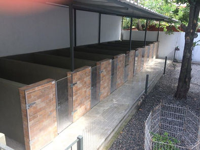 10 canis e corredor.jpg