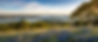 ChatGPT Image Jul 23, 2026, 09_57_19 AM.png