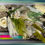 Thumbnail: Lime Dried Bunch