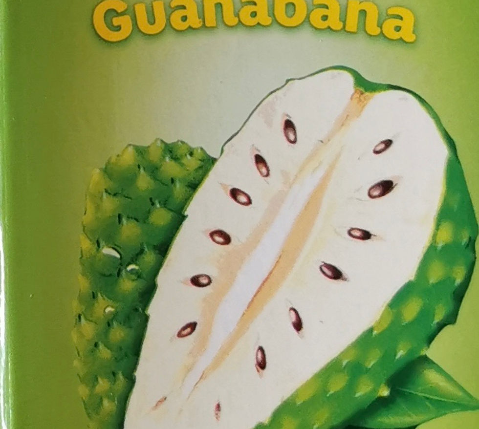 Jugo de Guanabana / Soursop juice 