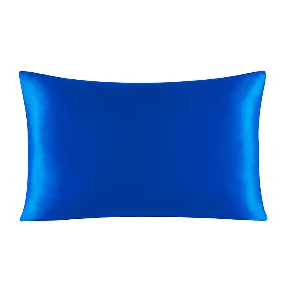 Миниатюра: 100% Mulberry Silk Zipper Pillowcase Natural Pillow Case for Hair & Skin Health