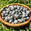 Thumbnail: Red Flowering Currant Seeds - Ribes Sanguineum - Versatile and Perennial