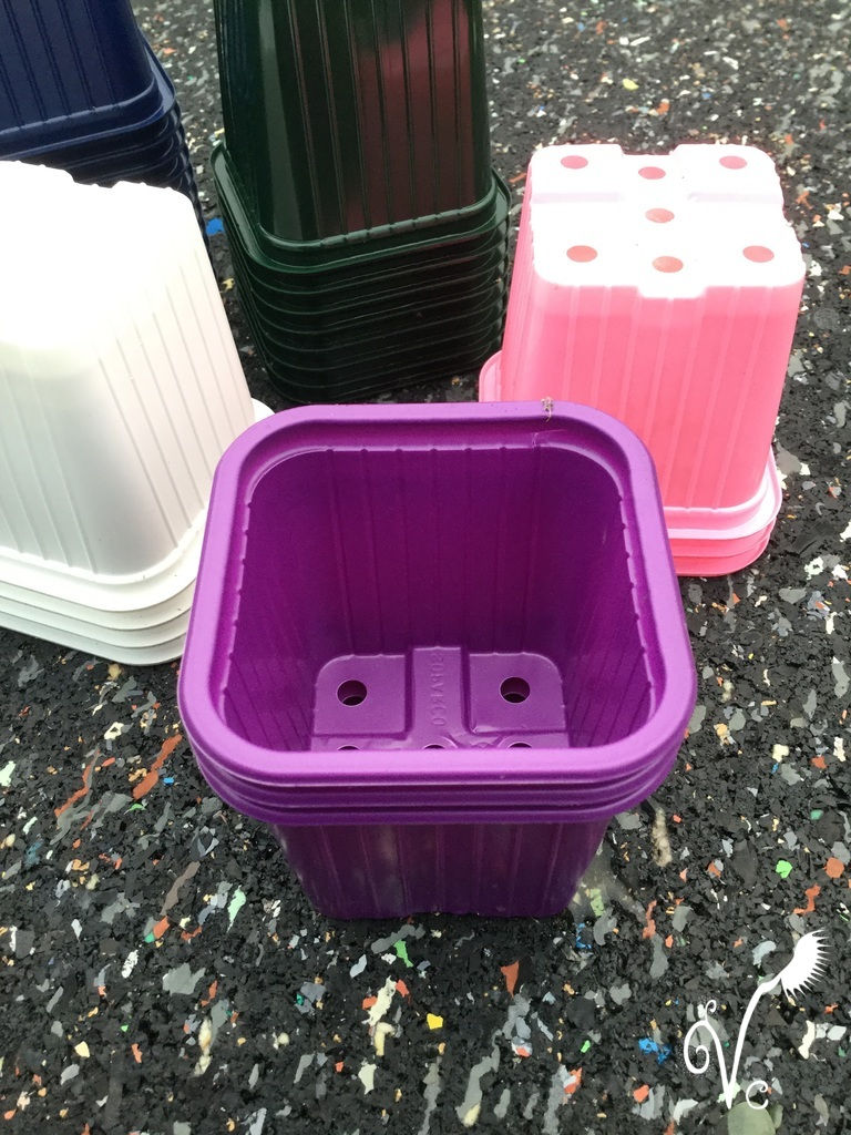 Miniature : Petit godet en plastique 7*7cm de couleurs  (*25)