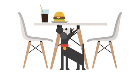 Cómo enseñar a un perro a no pedir comida en la mesa