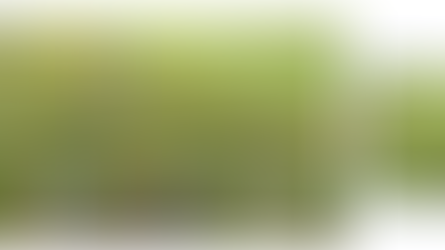 Improving Detection Performance with SAHI and Tiled Predictions