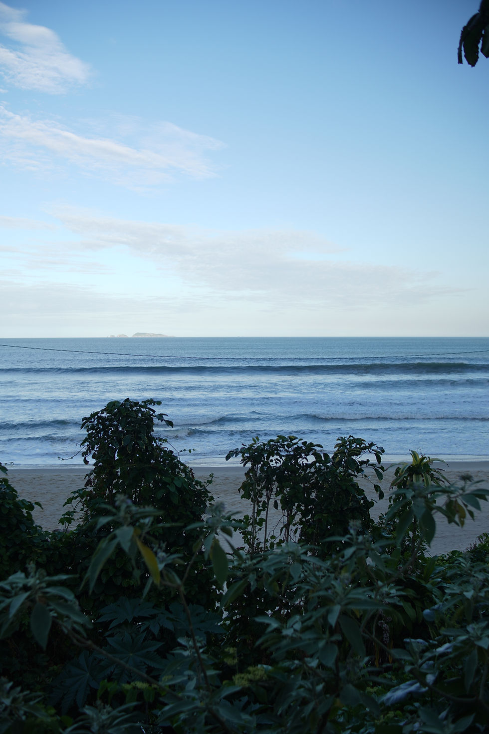 DSC00988.JPG