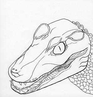 caimanlineart.jpg