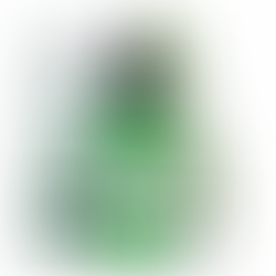 #Product Review- The Body Shop Tea Tree Anti-Imperfection Daily Solution