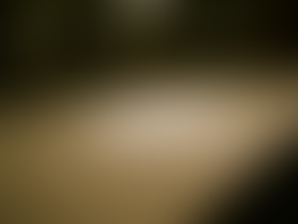 ShinyHunters Proved a Florida Police-DMV Breach With an Epstein Record. Twenty-Two DAVID Printouts Have Been Public Since 2019 — Including Ghislaine Maxwell's, Timestamped to the Second.