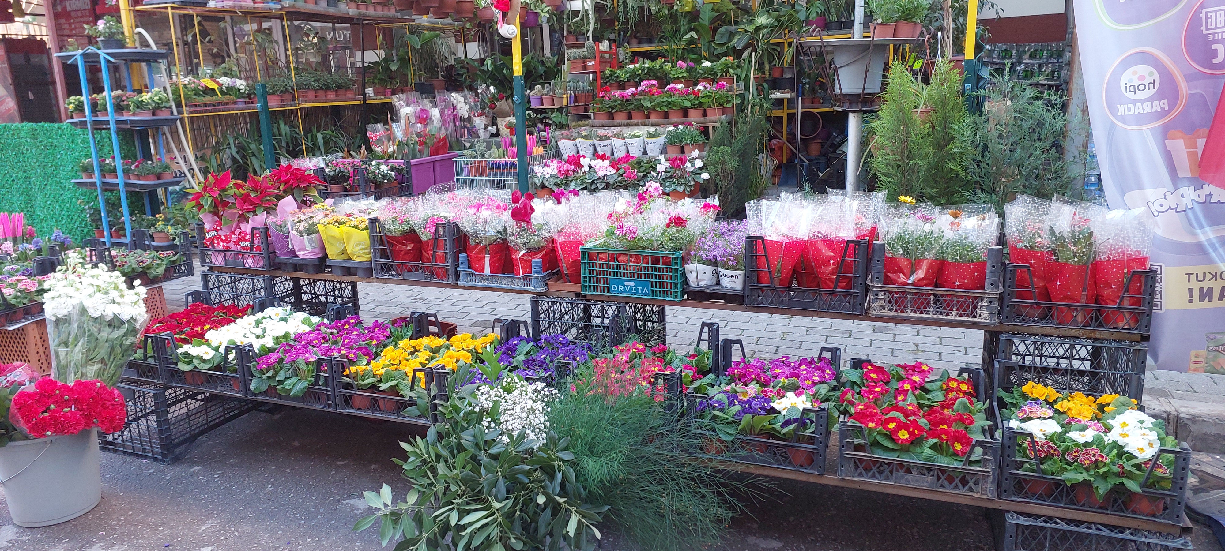 BAHÇE BİTKİLERİ UYGULAMA HİZMETLERİ