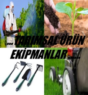 TARIMSAL SLD 270+344 PX_edited.png
