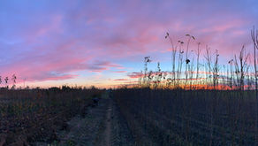 Un tramonto incantato 