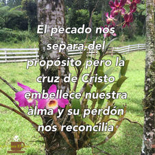 La cruz embellece