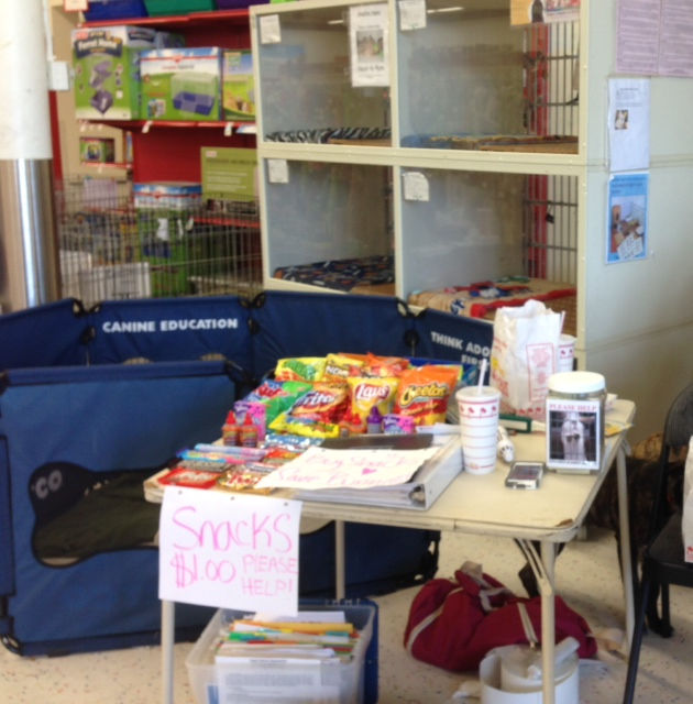 Raising Money for our Organization