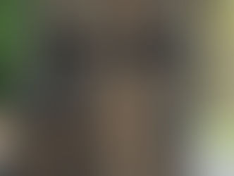 Rejas. Cortometraje de I. Castillo