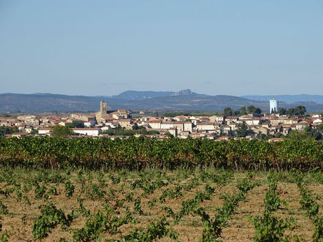 servian béziers vignes vignoble chambre hote hérault
