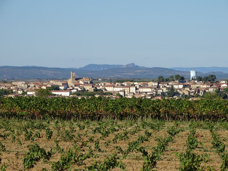 servian béziers vignes vignoble chambre hote hérault