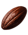 Cocoa Bean_3.png