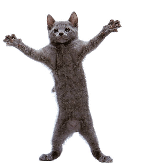output-onlinegiftools (2).gif