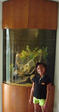 Quarter Cylinder Corner