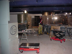 Placement of Aquarium Panels