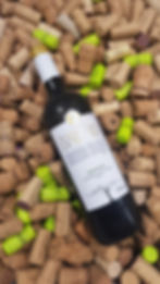sauvignon