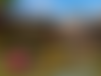 Pattaya Floating Market: Complete Travel Guide 2026 – Tickets, Things to Do & Visitor Tips 
