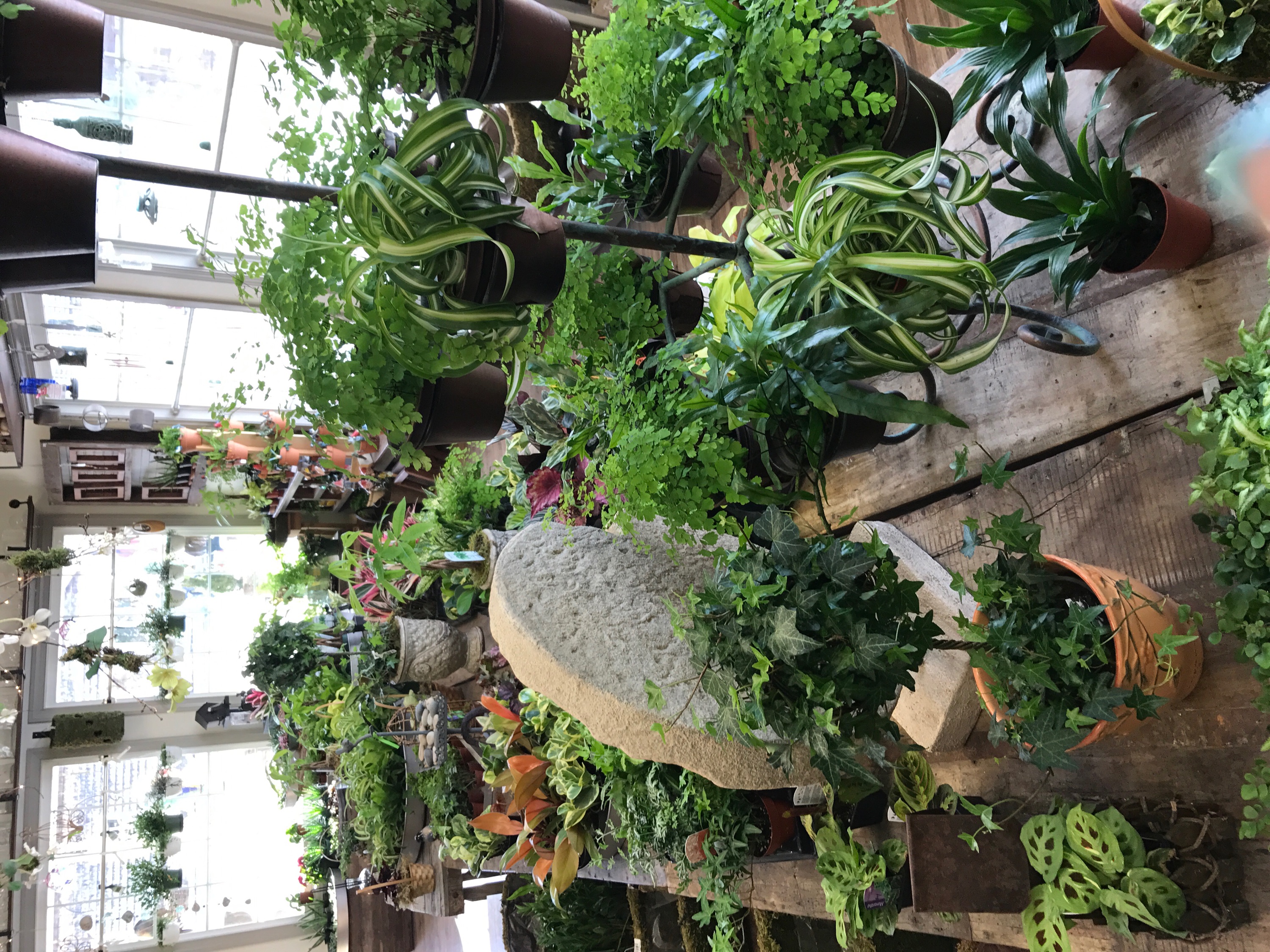 Chester Gallery bountifulgardens