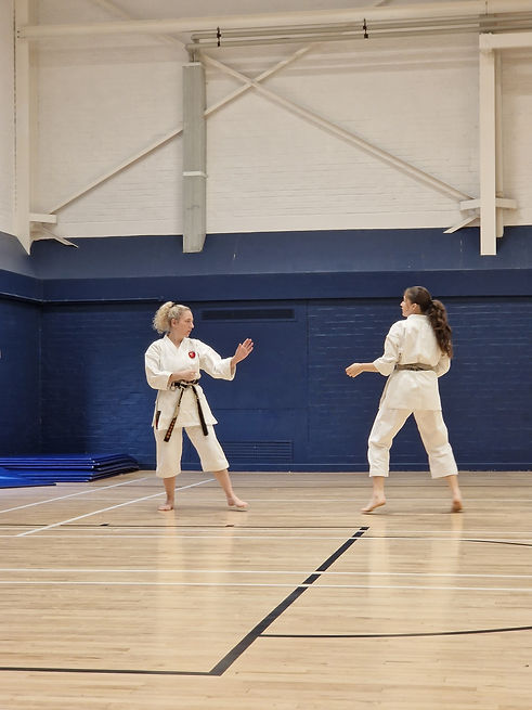 Sensei's kumite