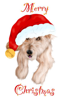 A5-Merry-Christmas-Dog-2-C.jpg