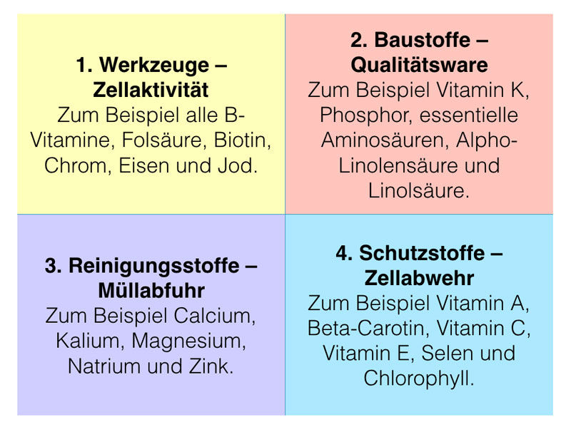 Ballaststoffe die Macht des Körpers