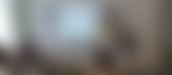 משתתפי תכנית קורס קולות קוראים נפגשו עם נציג משרד הגנת הסביבה