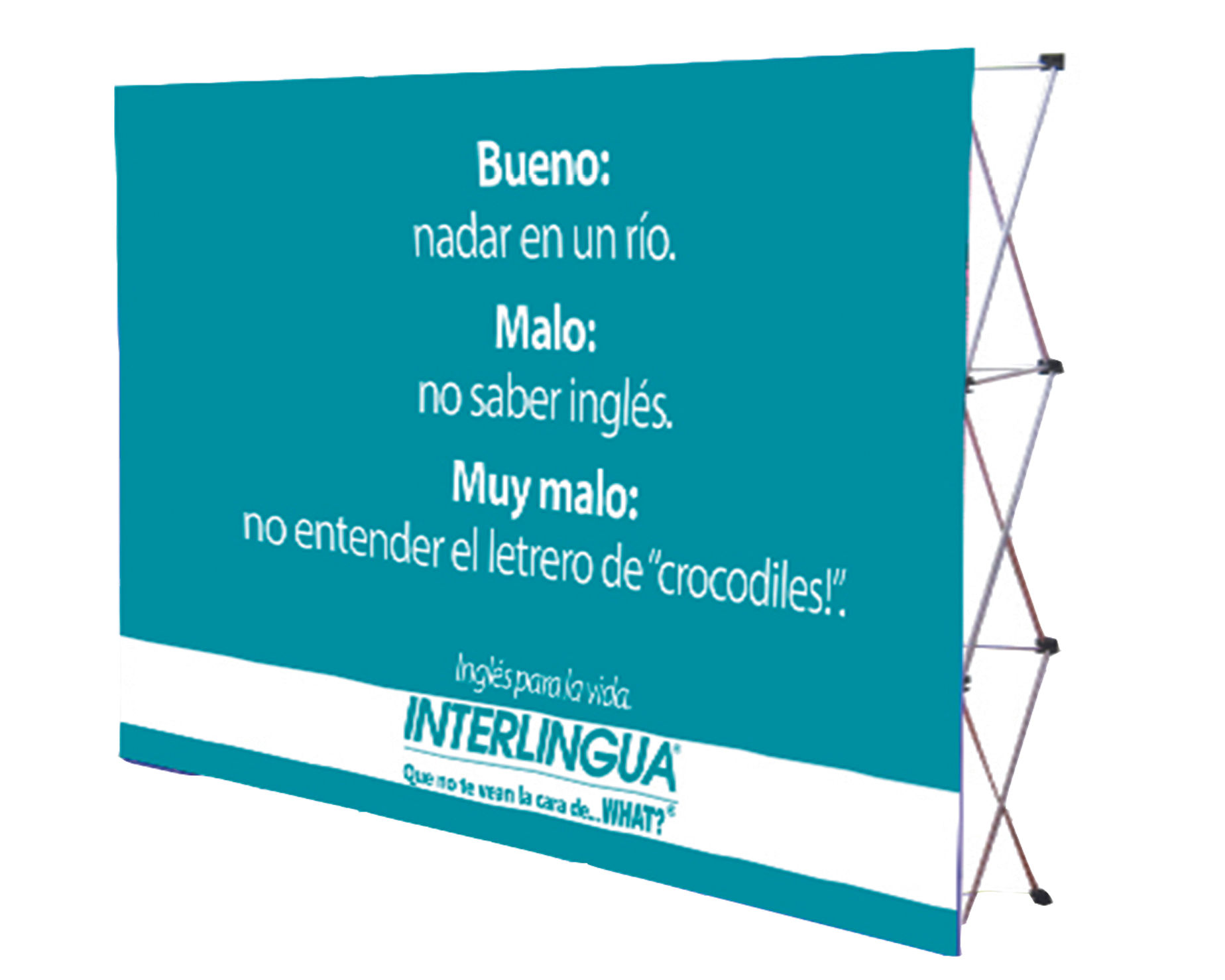 Muro Araña Expandible 300x225 cms