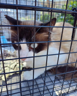 458595488_8586224204760978_3024859050199173249_n