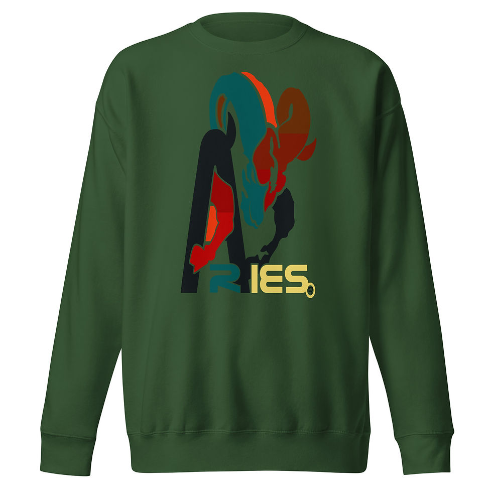 ARIES Men Premium Sweatshirts