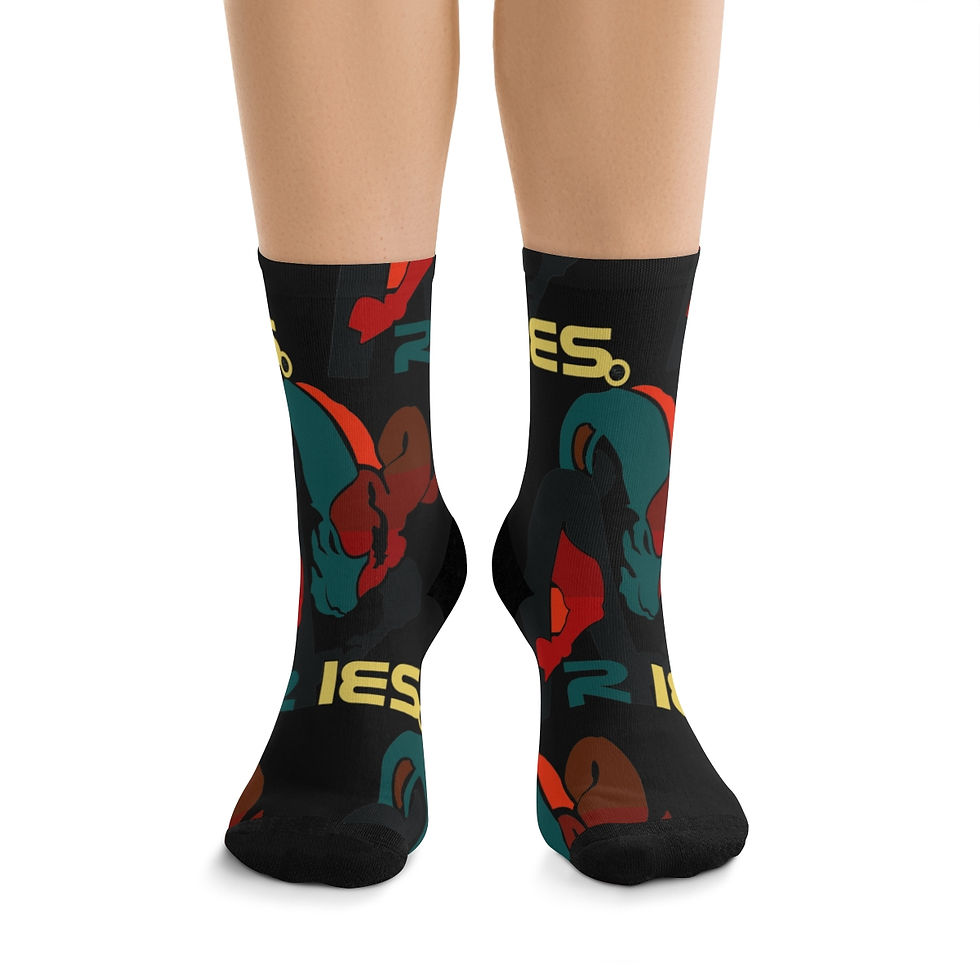 ARIES SOCK'S