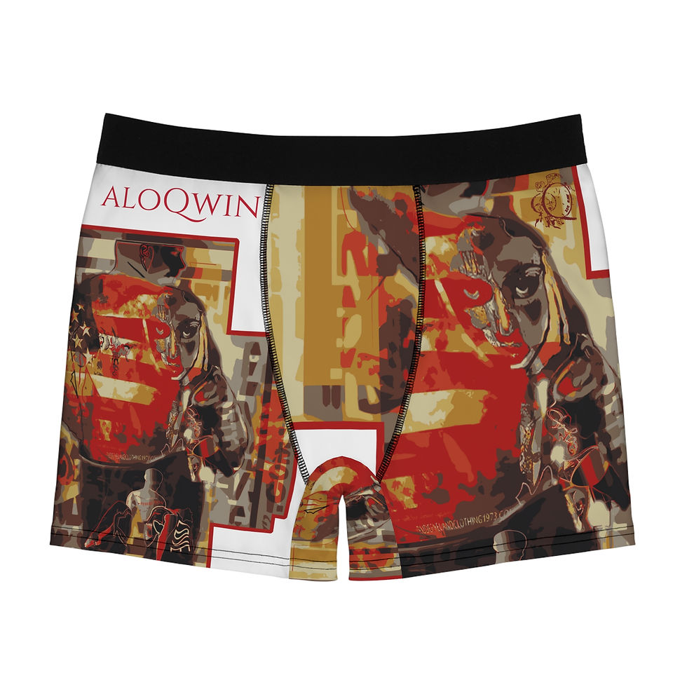 CALMED CHAOS Boxer Briefs