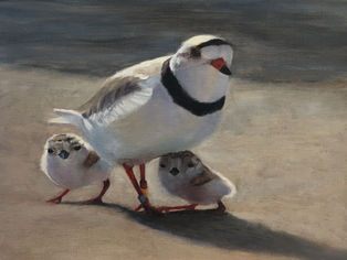 Word of the Day "Precocial