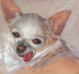 petportraits.jpg