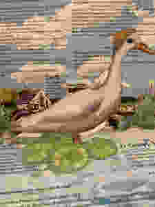 Pop up Old Ducky menu
