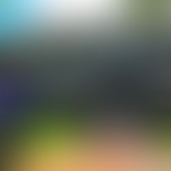 Case Files: Ghosts Behind Bars The Burlington County Jail 