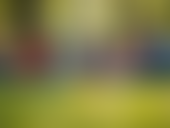 Maximize Audience Interaction: Best Practices for Creators