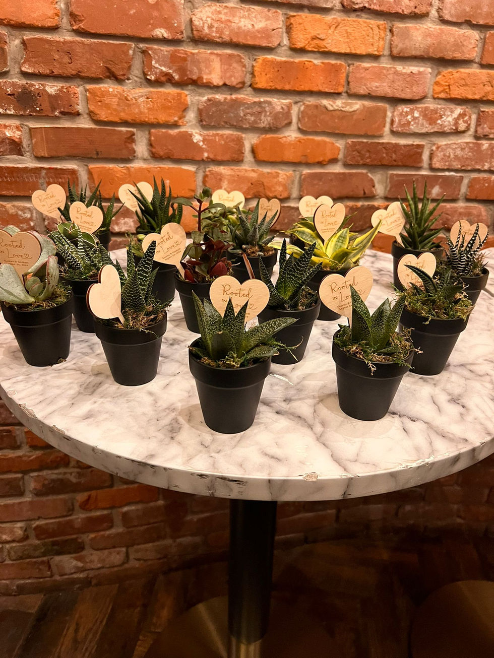 a bunch of potted plants on a table with a brick wall in the background