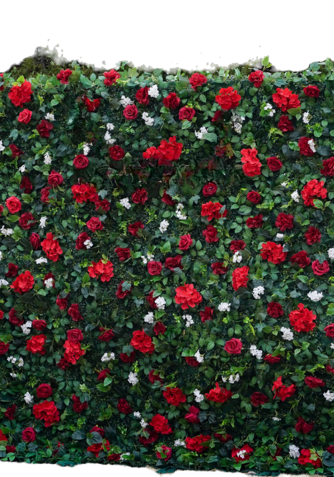 Red Rose wall