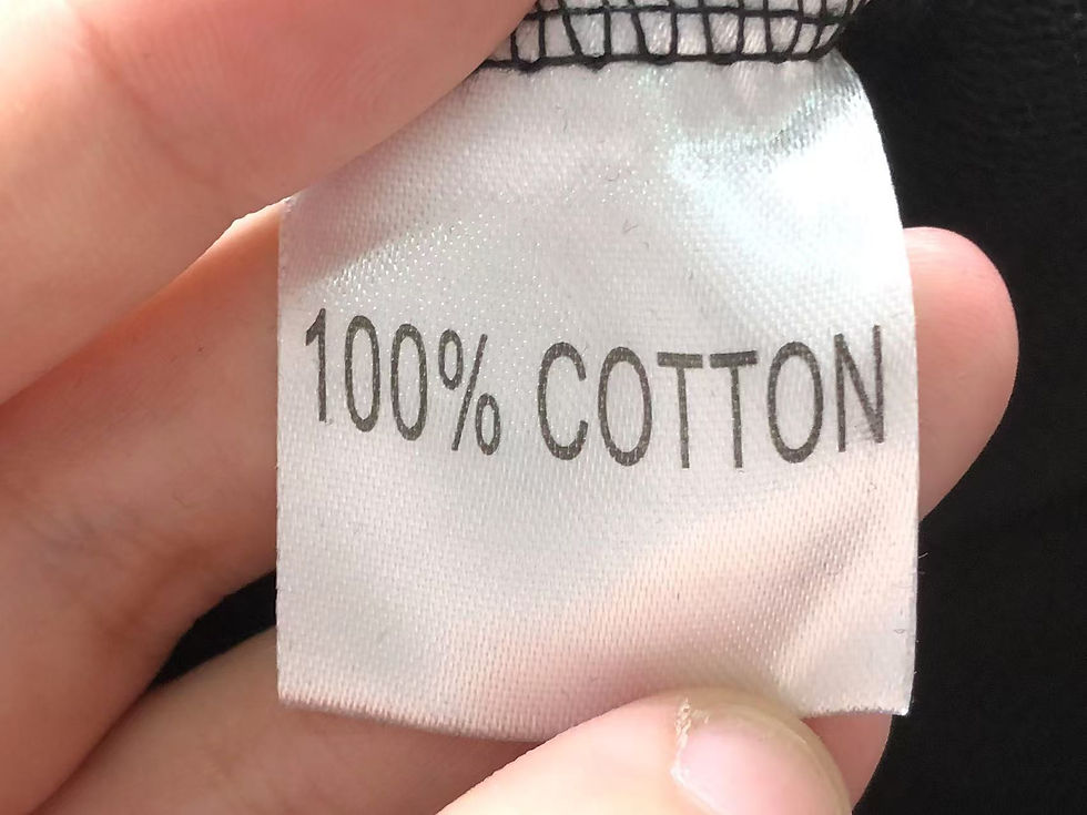Miniatura: Calça Moletom Prada