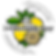 IMG_4017_edited.png