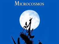 Microcosmos.jpeg